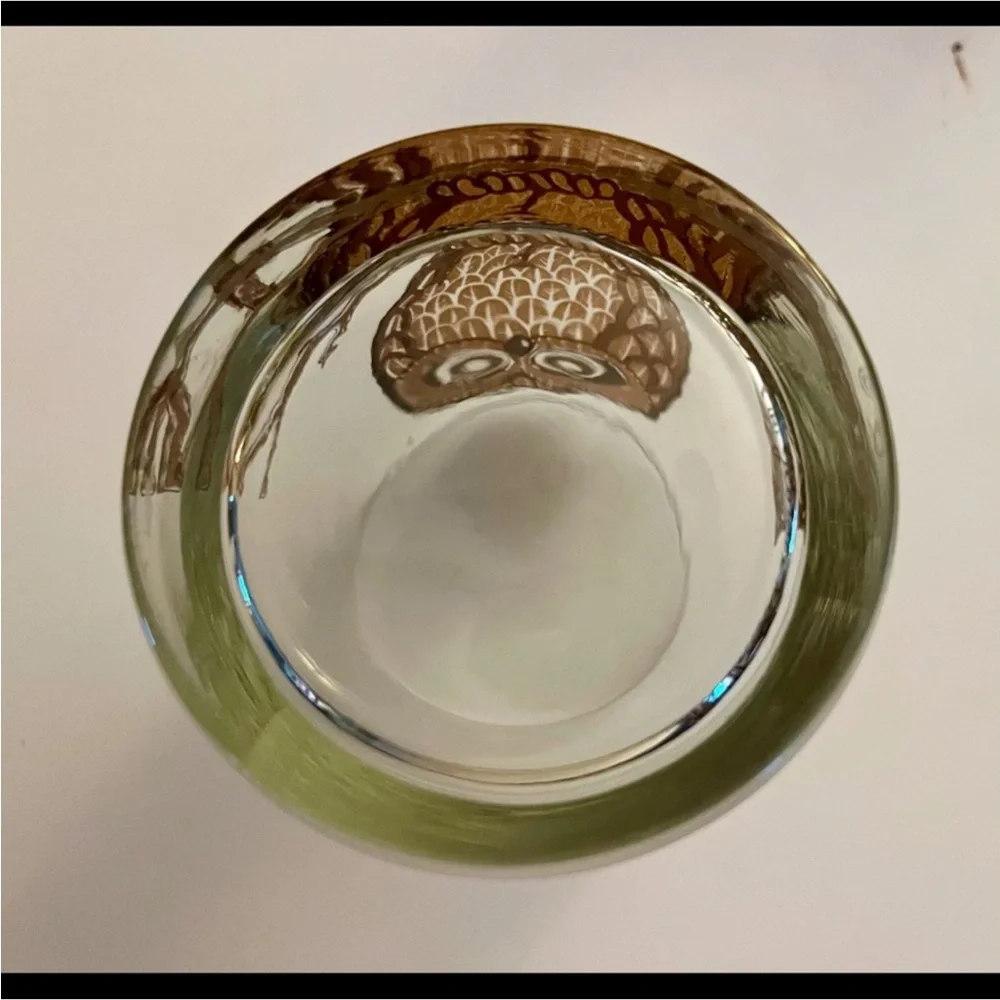 Authentic Georges Briard Signed Vintage Retro Owl Double Old Fashion Glasses x4